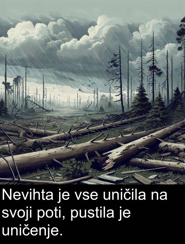 poti: Nevihta je vse uničila na svoji poti, pustila je uničenje.