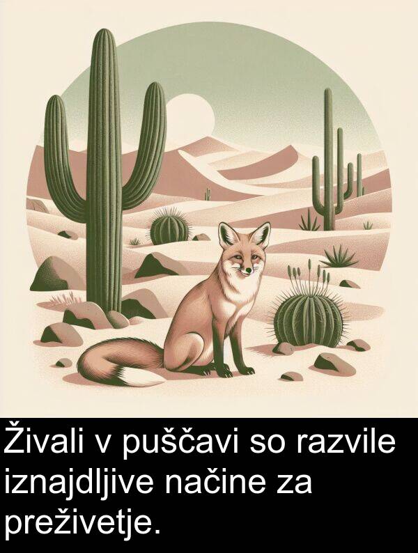 preživetje: Živali v puščavi so razvile iznajdljive načine za preživetje.