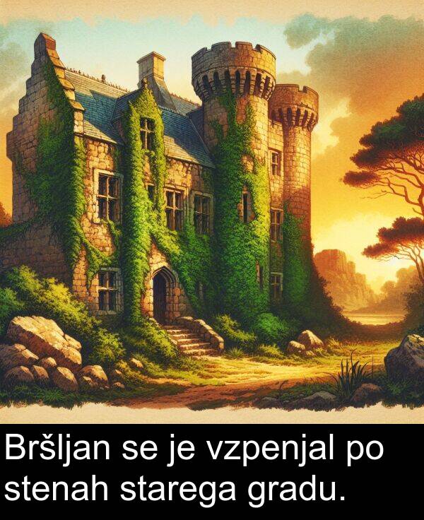 stenah: Bršljan se je vzpenjal po stenah starega gradu.