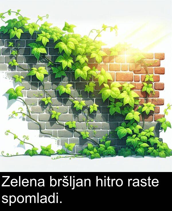 raste: Zelena bršljan hitro raste spomladi.
