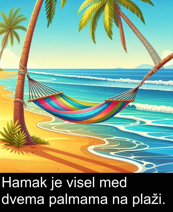 palmama: Hamak je visel med dvema palmama na plaži.