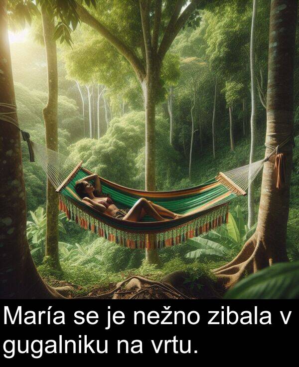 gugalniku: María se je nežno zibala v gugalniku na vrtu.