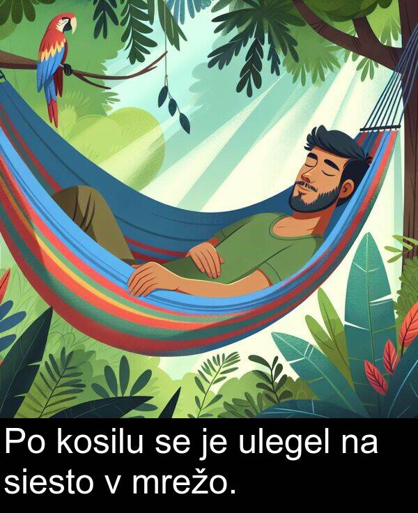 siesto: Po kosilu se je ulegel na siesto v mrežo.