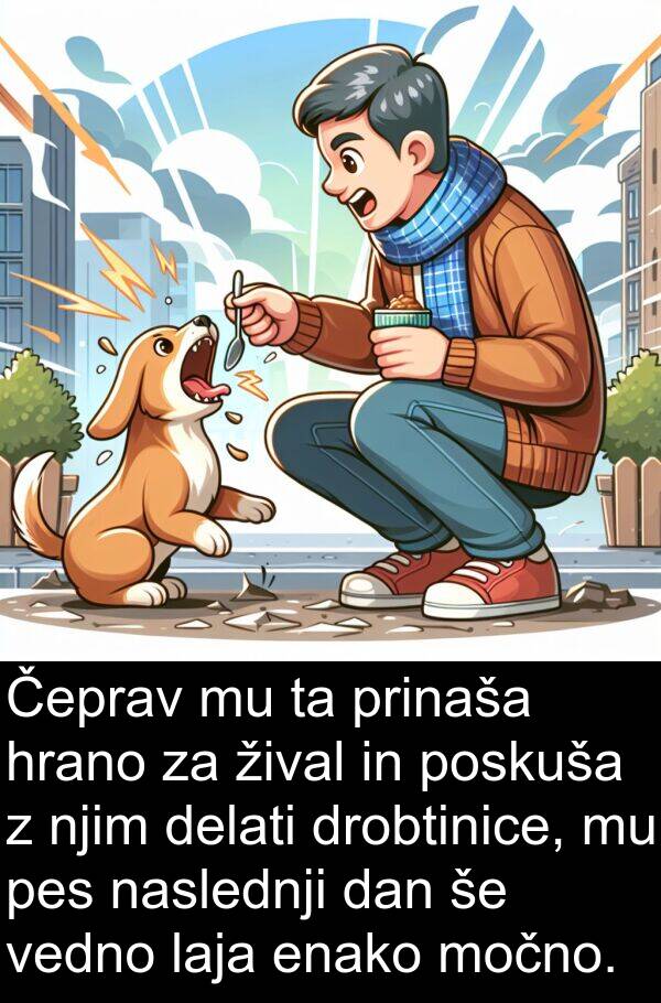 žival: Čeprav mu ta prinaša hrano za žival in poskuša z njim delati drobtinice, mu pes naslednji dan še vedno laja enako močno.