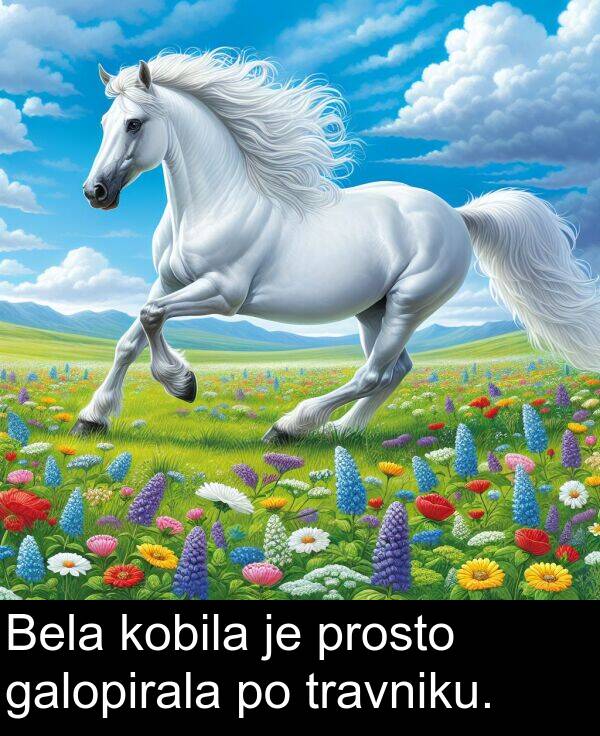 galopirala: Bela kobila je prosto galopirala po travniku.