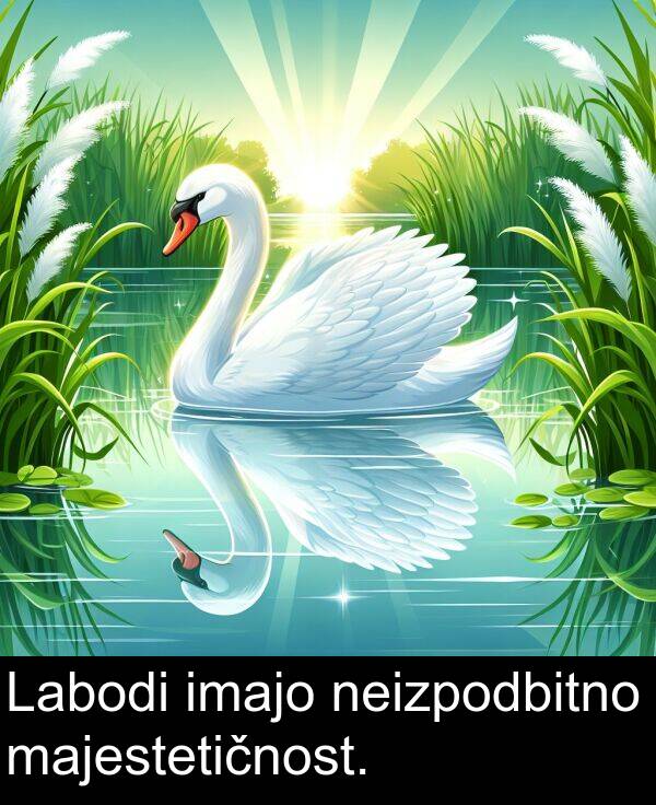majestetičnost: Labodi imajo neizpodbitno majestetičnost.