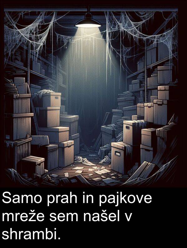 pajkove: Samo prah in pajkove mreže sem našel v shrambi.