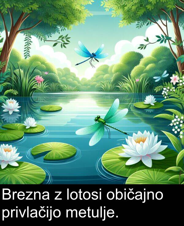 običajno: Brezna z lotosi običajno privlačijo metulje.