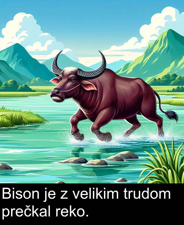 reko: Bison je z velikim trudom prečkal reko.