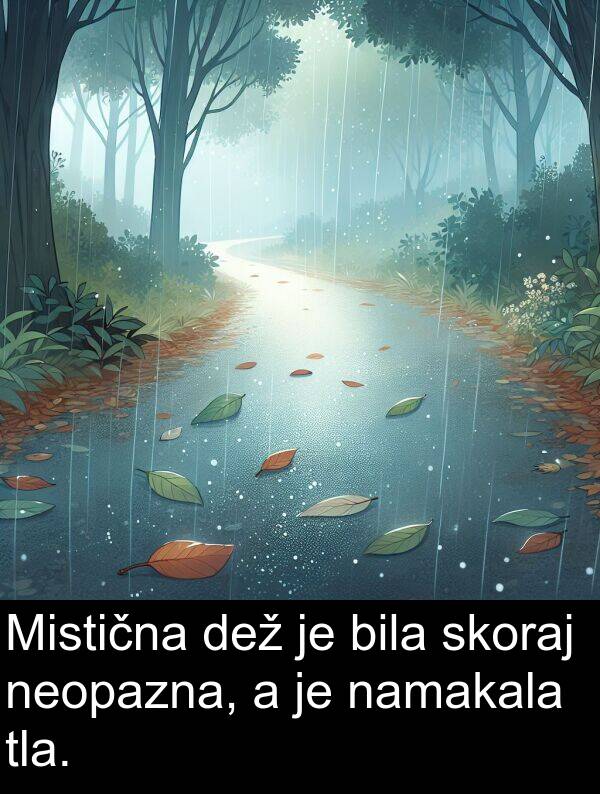 neopazna: Mistična dež je bila skoraj neopazna, a je namakala tla.