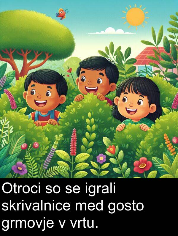 grmovje: Otroci so se igrali skrivalnice med gosto grmovje v vrtu.