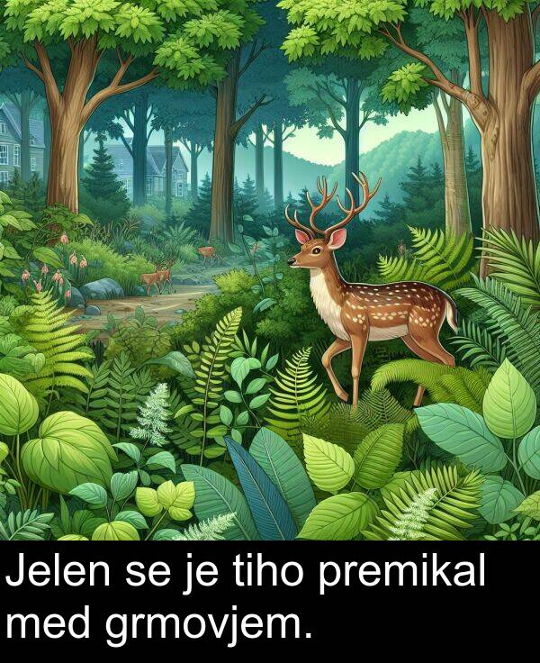 premikal: Jelen se je tiho premikal med grmovjem.
