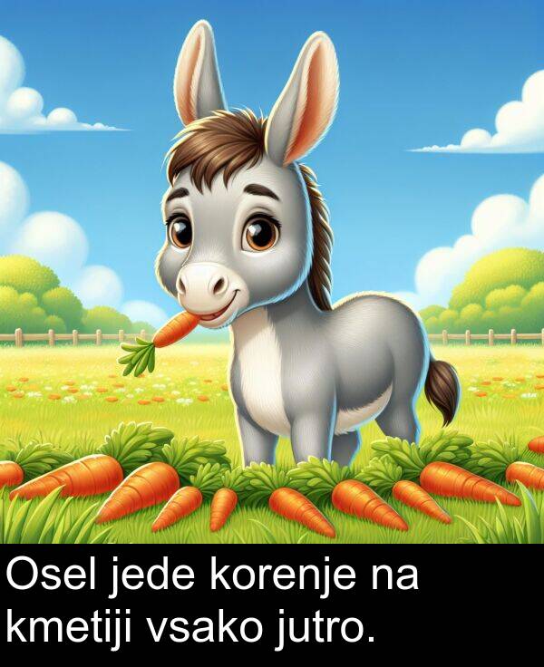 jede: Osel jede korenje na kmetiji vsako jutro.