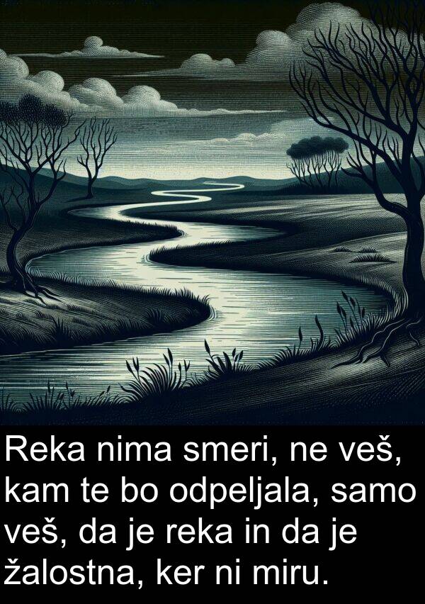 kam: Reka nima smeri, ne veš, kam te bo odpeljala, samo veš, da je reka in da je žalostna, ker ni miru.