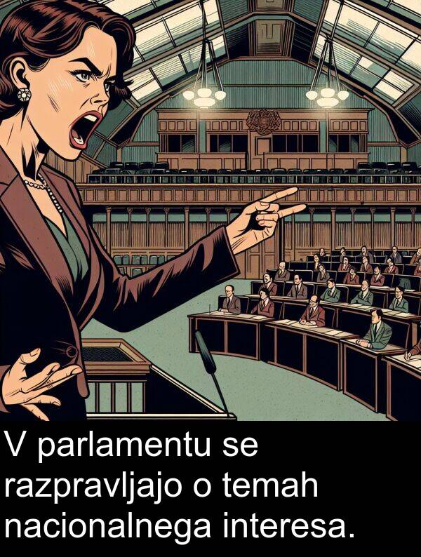 nacionalnega: V parlamentu se razpravljajo o temah nacionalnega interesa.