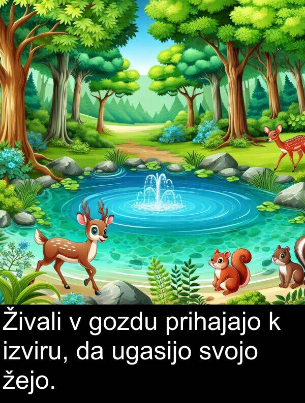 žejo: Živali v gozdu prihajajo k izviru, da ugasijo svojo žejo.