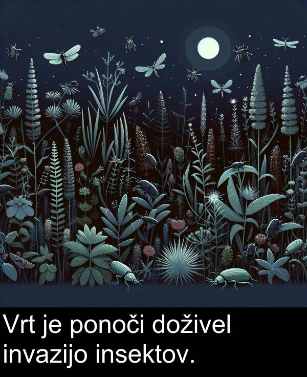 insektov: Vrt je ponoči doživel invazijo insektov.