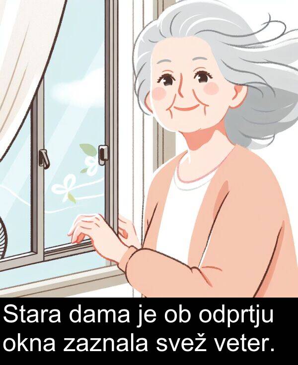 svež: Stara dama je ob odprtju okna zaznala svež veter.