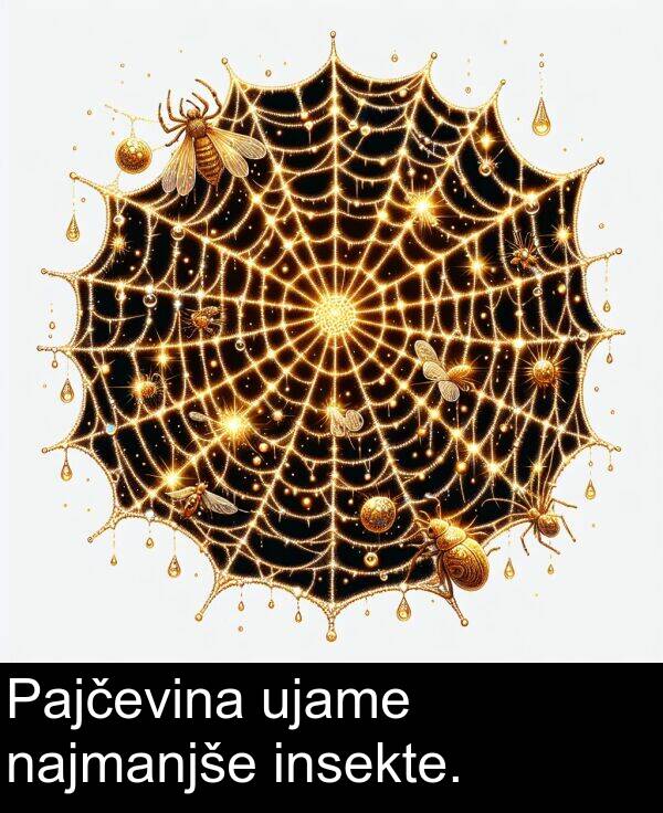 najmanjše: Pajčevina ujame najmanjše insekte.
