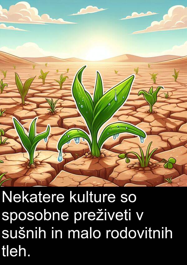 malo: Nekatere kulture so sposobne preživeti v sušnih in malo rodovitnih tleh.
