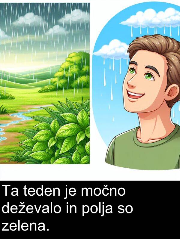 močno: Ta teden je močno deževalo in polja so zelena.
