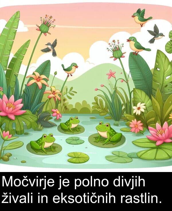 eksotičnih: Močvirje je polno divjih živali in eksotičnih rastlin.