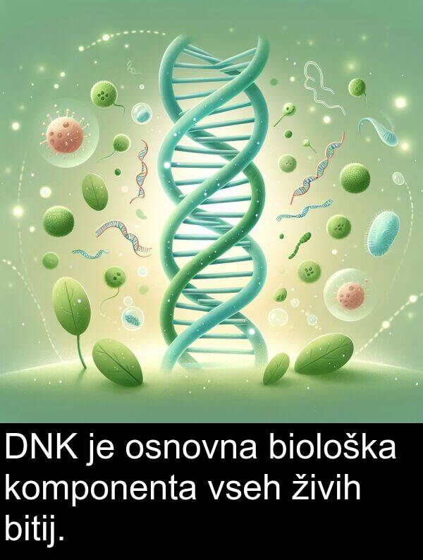 živih: DNK je osnovna biološka komponenta vseh živih bitij.