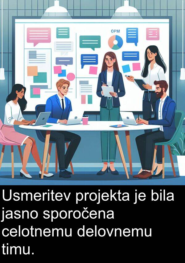 celotnemu: Usmeritev projekta je bila jasno sporočena celotnemu delovnemu timu.