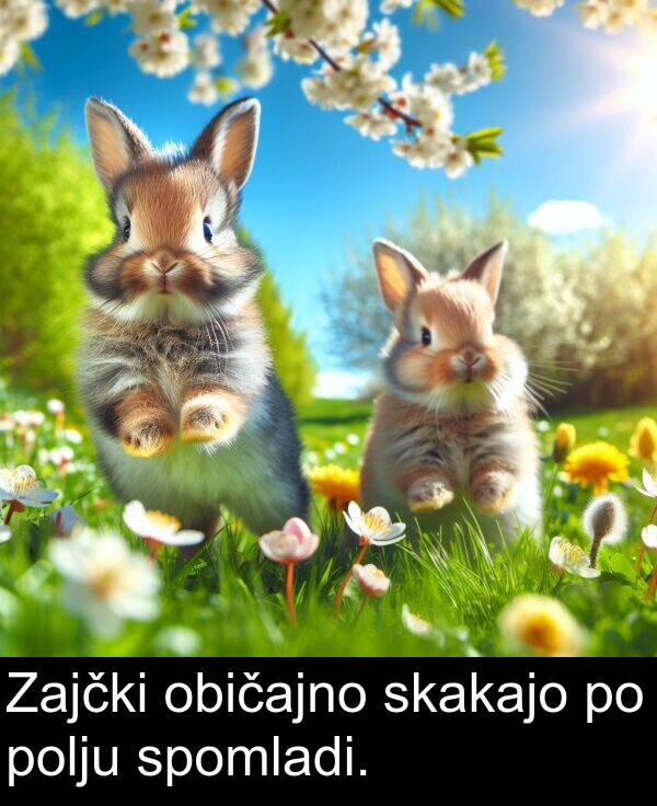 običajno: Zajčki običajno skakajo po polju spomladi.
