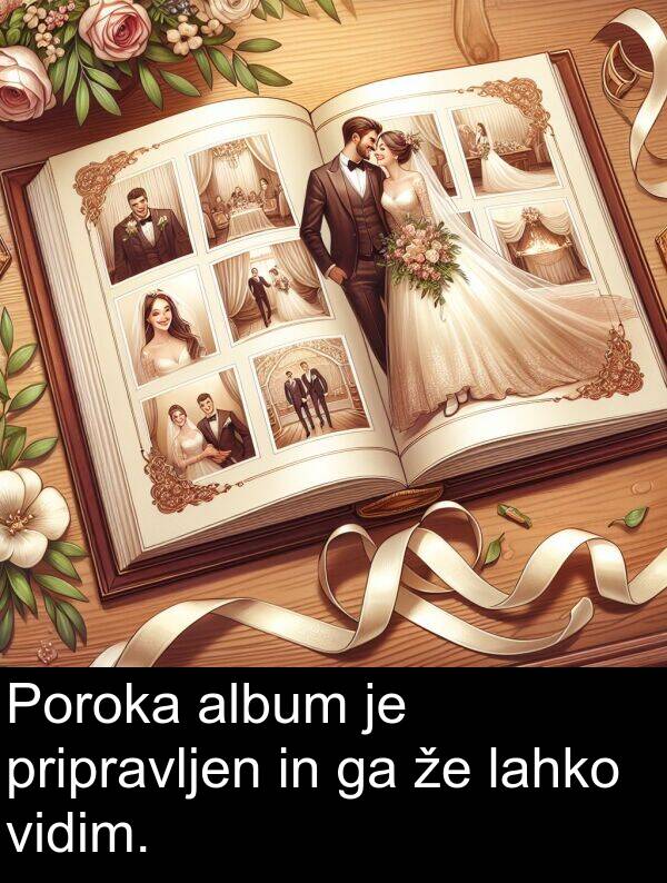 lahko: Poroka album je pripravljen in ga že lahko vidim.
