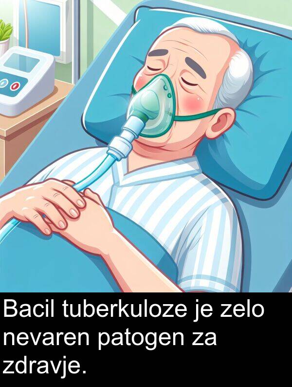 zdravje: Bacil tuberkuloze je zelo nevaren patogen za zdravje.
