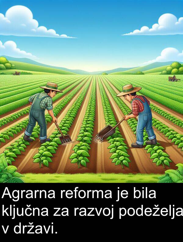 ključna: Agrarna reforma je bila ključna za razvoj podeželja v državi.