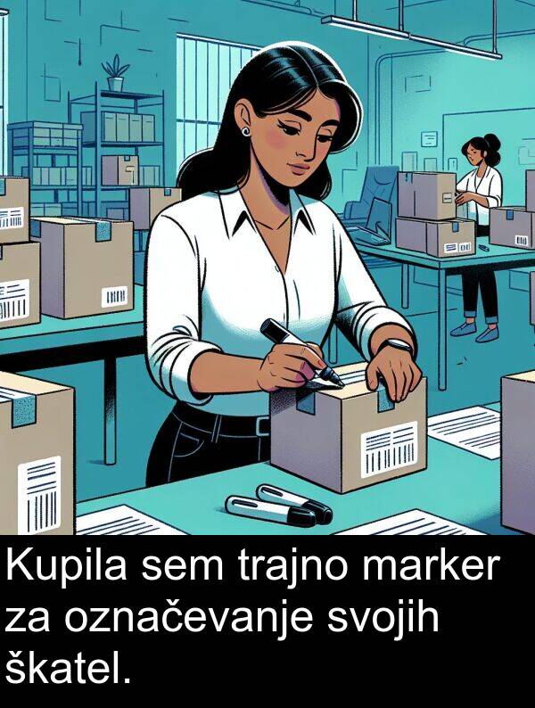 marker: Kupila sem trajno marker za označevanje svojih škatel.