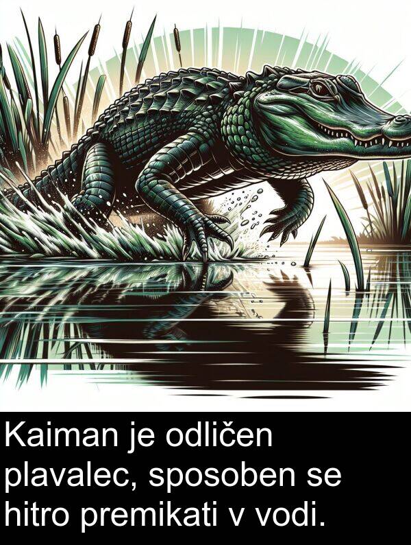 sposoben: Kaiman je odličen plavalec, sposoben se hitro premikati v vodi.