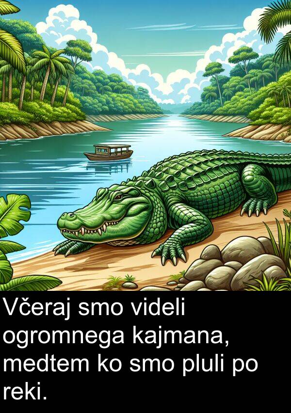 kajmana: Včeraj smo videli ogromnega kajmana, medtem ko smo pluli po reki.