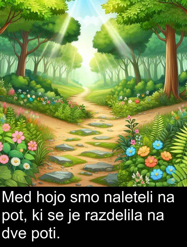 poti: Med hojo smo naleteli na pot, ki se je razdelila na dve poti.