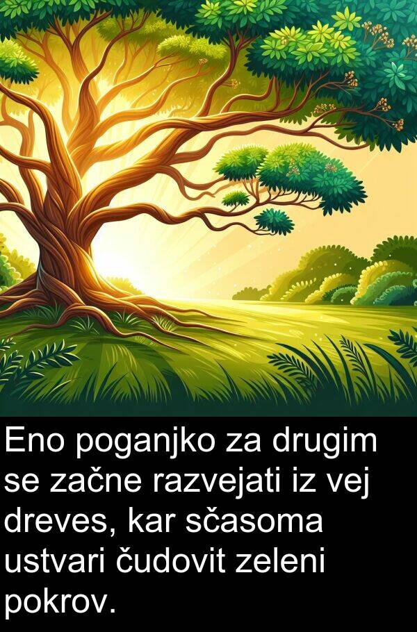 pokrov: Eno poganjko za drugim se začne razvejati iz vej dreves, kar sčasoma ustvari čudovit zeleni pokrov.