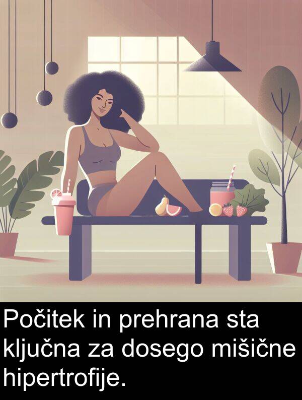 hipertrofije: Počitek in prehrana sta ključna za dosego mišične hipertrofije.