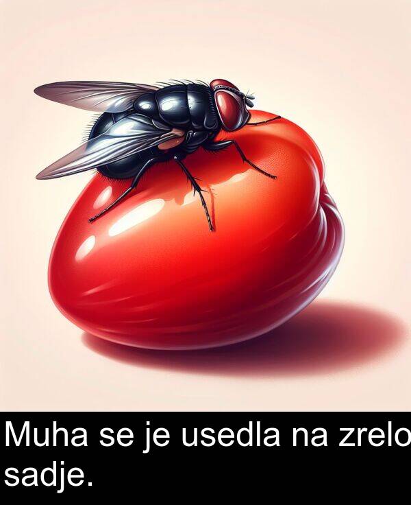 sadje: Muha se je usedla na zrelo sadje.