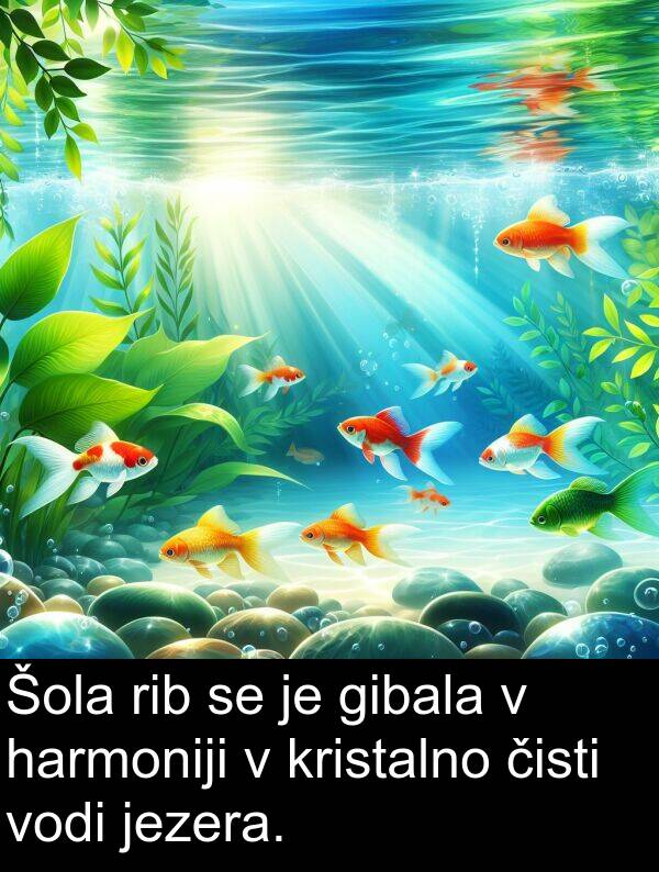 gibala: Šola rib se je gibala v harmoniji v kristalno čisti vodi jezera.