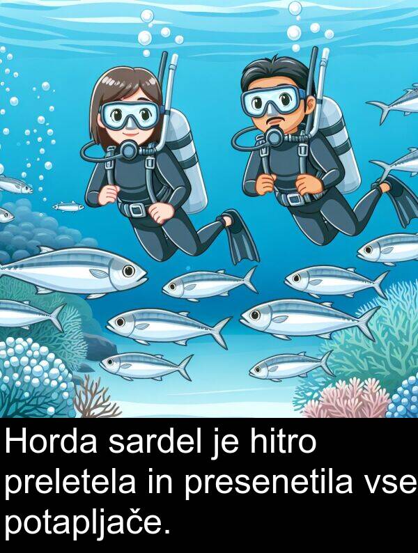 sardel: Horda sardel je hitro preletela in presenetila vse potapljače.