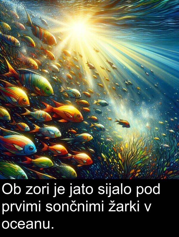 sijalo: Ob zori je jato sijalo pod prvimi sončnimi žarki v oceanu.