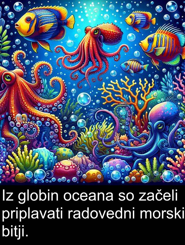 radovedni: Iz globin oceana so začeli priplavati radovedni morski bitji.
