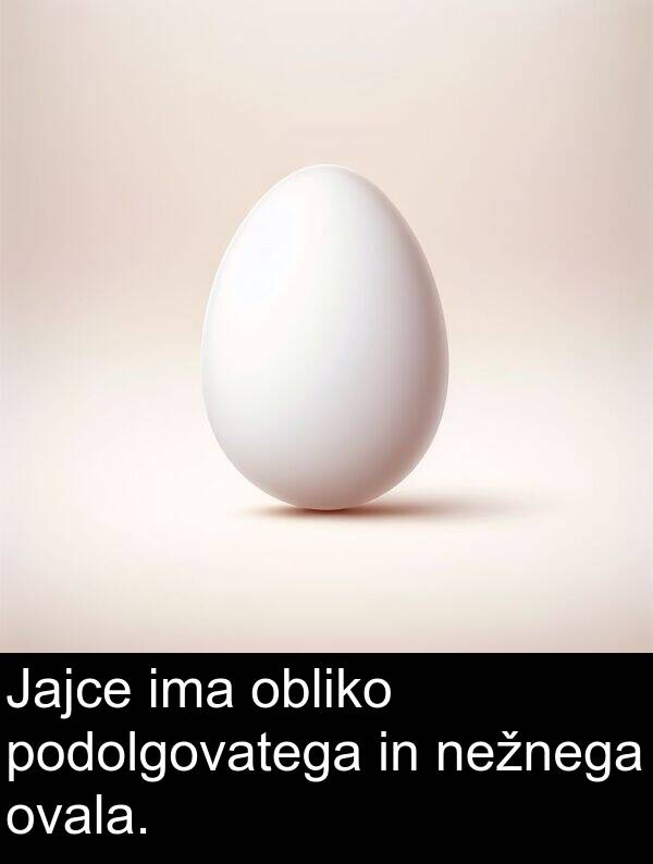 obliko: Jajce ima obliko podolgovatega in nežnega ovala.