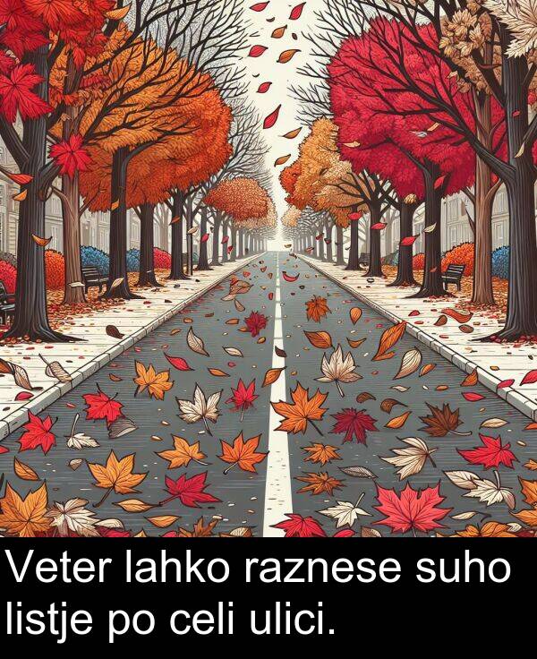 lahko: Veter lahko raznese suho listje po celi ulici.