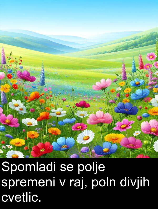 raj: Spomladi se polje spremeni v raj, poln divjih cvetlic.