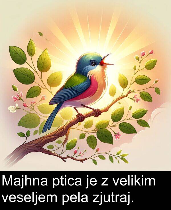 zjutraj: Majhna ptica je z velikim veseljem pela zjutraj.