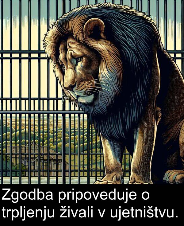 pripoveduje: Zgodba pripoveduje o trpljenju živali v ujetništvu.