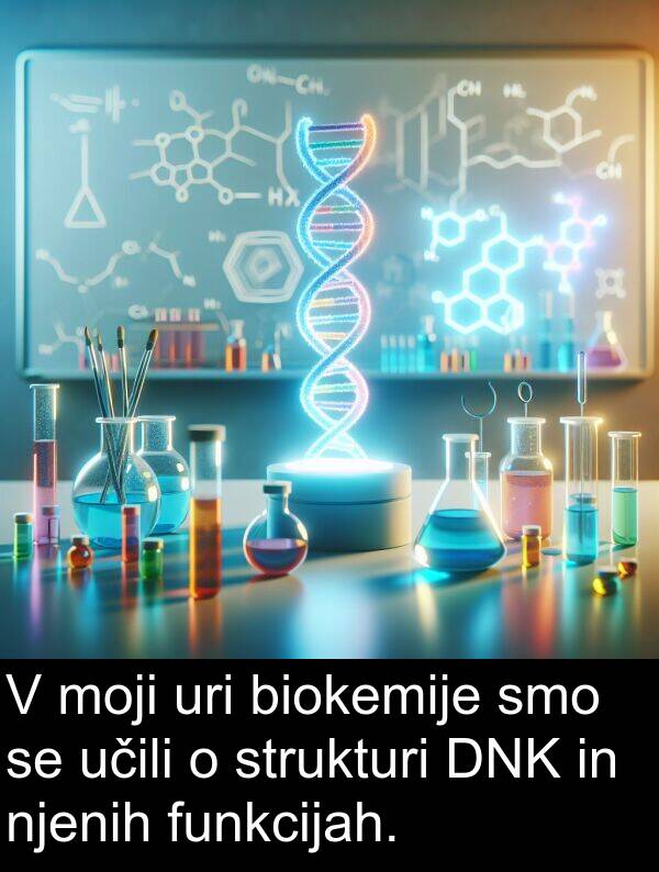 moji: V moji uri biokemije smo se učili o strukturi DNK in njenih funkcijah.