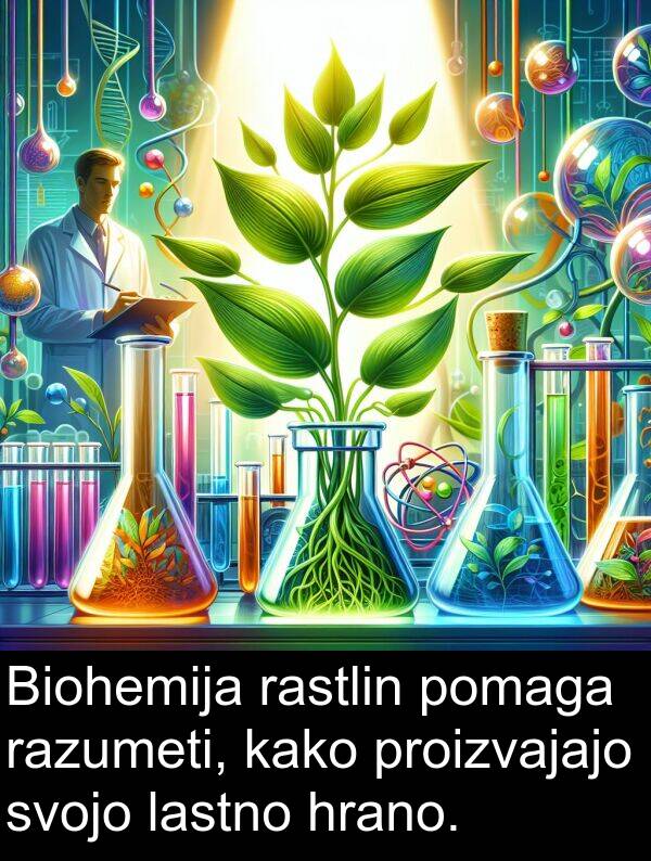 lastno: Biohemija rastlin pomaga razumeti, kako proizvajajo svojo lastno hrano.